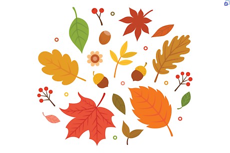 Herbstlaub Grafik Herbstlaub
