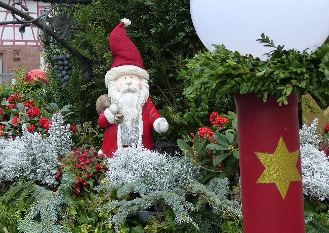 Weihnachtsmann im Blumenbeet